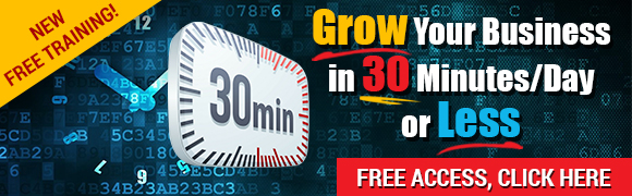 Grow Your Business in 30 Minutes/Day or Less