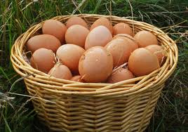 eggs image