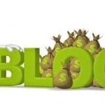 monetize your blog