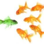 stand out image