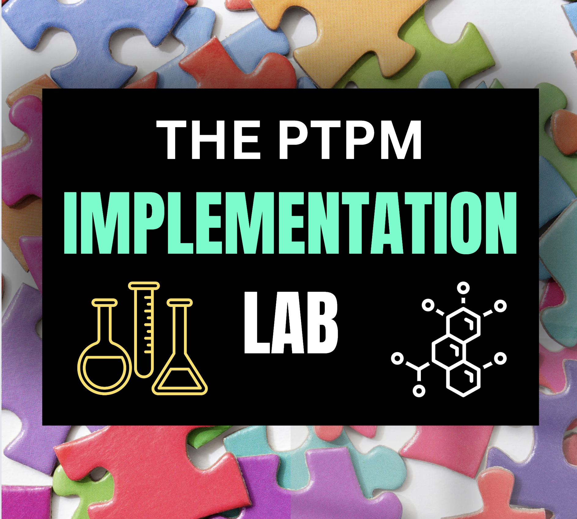 The Implementation Lab Group Coaching Program