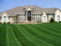 lawn image